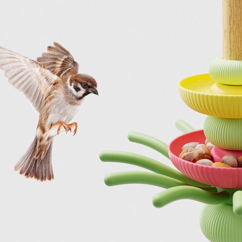 »Avito« folgt einem Interspecies-Design-Ansatz, der sowohl die Bedürfnisse von Kindern als auch von Vögeln in den Mittelpunkt rückt. Foto: Pascal Stappen Vogelstation »Avito« zum Einsatz in Kitas und Grundschulen Ein Vogel mit ausgebreiteten Schwingen fliegt die Station an