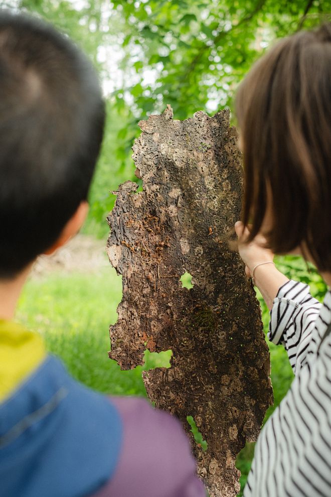 Projekt »PostCompost«, Foto: Julian Linden zwei Personen schauen sich ein Stück Baumrinde an