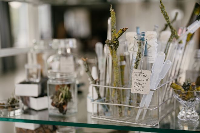 Projekt: »Landschaft im Anthropozän – Thüringer Wald«, Foto: Stiftung Baukultur Thüringen, Henry Sowinski Glaskolben mit Proben als Ausstellungsobjekte der Ausstellung »Landschaft im Anthropozän – Thüringer Wald«