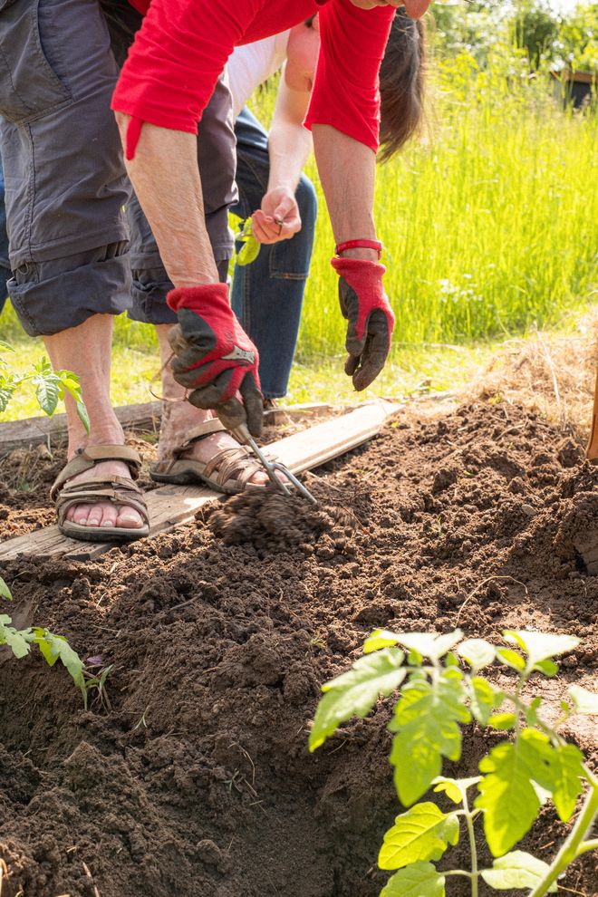 Projekt »Forestmade«, Foto: Julian Linden eine ältere Person, die sich in ein Beet beugt und eine Pflanzfurche zieht