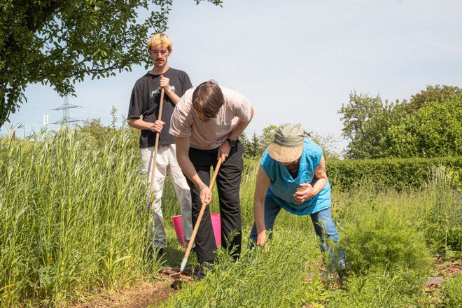 Projekt »Forestmade«, Foto: Julian Linden drei Personen arbeiten mit Hacken im Beet