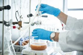 © IAB / Thomas Müller © IAB / Thomas Müller