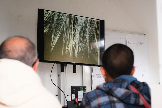 Projekt »Biennal of Care«, Foto: Julian Linden zwei Personen von hinten fotografiert, wie sie die Präsentation am Monitor verfolgen