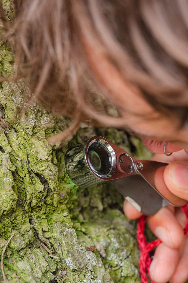 Projekt »PostCompost«, Foto: Julian Linden Nahaufnahme einer Person, die mit einer Lupe Baumrinde untersucht