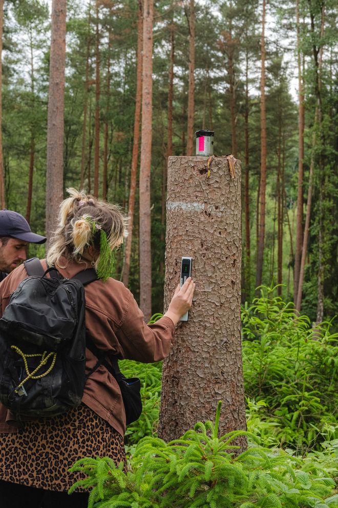 Projekt »PostCompost«, Foto: Julian Linden eine Person hält ein Messgerät an Baumrinde eines Baumstammes