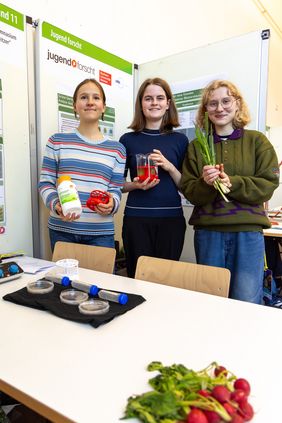 Grüne Gerüste für neue Gewebe (1. Preis »Jugend forscht« Biologie): Lara Ostrowski, Elina Grüning und Kim Dufft erforschten dezellularisierte Pflanzenstrukturen als mögliche Träger für menschliche Zellen. Foto: Bauhaus-Universität Weimar/ Matthias Eckert Grüne Gerüste für neue Gewebe (1. Preis »Jugend forscht« Biologie): Lara Ostrowski, Elina Grüning und Kim Dufft erforschten dezellularisierte Pflanzenstrukturen als mögliche Träger für menschliche Zellen. Foto: Bauhaus-Universität Weimar/ Matthias Eckert