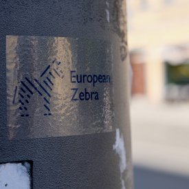 Aufkleber 'European Zebra'
