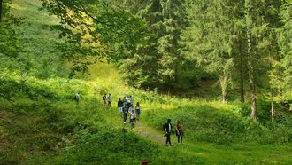 Bild Thüringer Wald