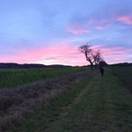 Momentaufnahme während der Walking Performance »Bauhaus Goes Gorki«, Wandernde Menschen in einsamer Landschaft mir Sonnenuntergang, Blau-Pinkfabrener Himmel (Foto: Filipe Serro; Quelle: Bauhaus-Universität Weimar)
