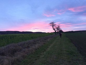 Momentaufnahme während der Walking Performance »Bauhaus Goes Gorki«, Wandernde Menschen in einsamer Landschaft mir Sonnenuntergang, Blau-Pinkfabrener Himmel (Foto: Filipe Serro; Quelle: Bauhaus-Universität Weimar)