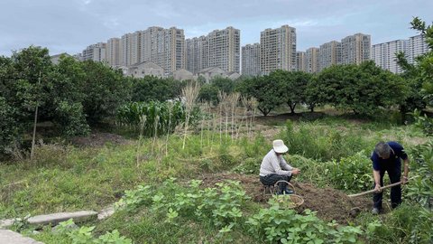 Verbundprojekt »Urban-Rural Assembly« 