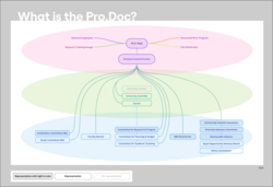 What is the ProDoc? , please click to enlarge (graphic: A.-K- Müller)