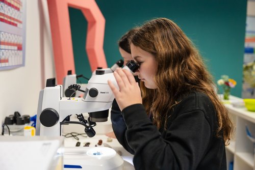 Im neuen SchülerForschungsZentrum Weimar können junge MINT-Talente selbst forschen, erfinden und experimentieren. Foto: Niklas Hamann