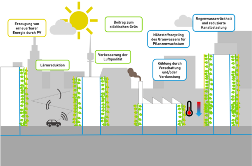 Die Pflanzen tragen zur Abkühlung des Mikroklimas und somit zur Verringerung des sommerlichen Hitzeinseleffekts in verdichteten Siedlungsräumen und zur Verbesserung der Luftqualität bei. Projektskizze: vertiKKA