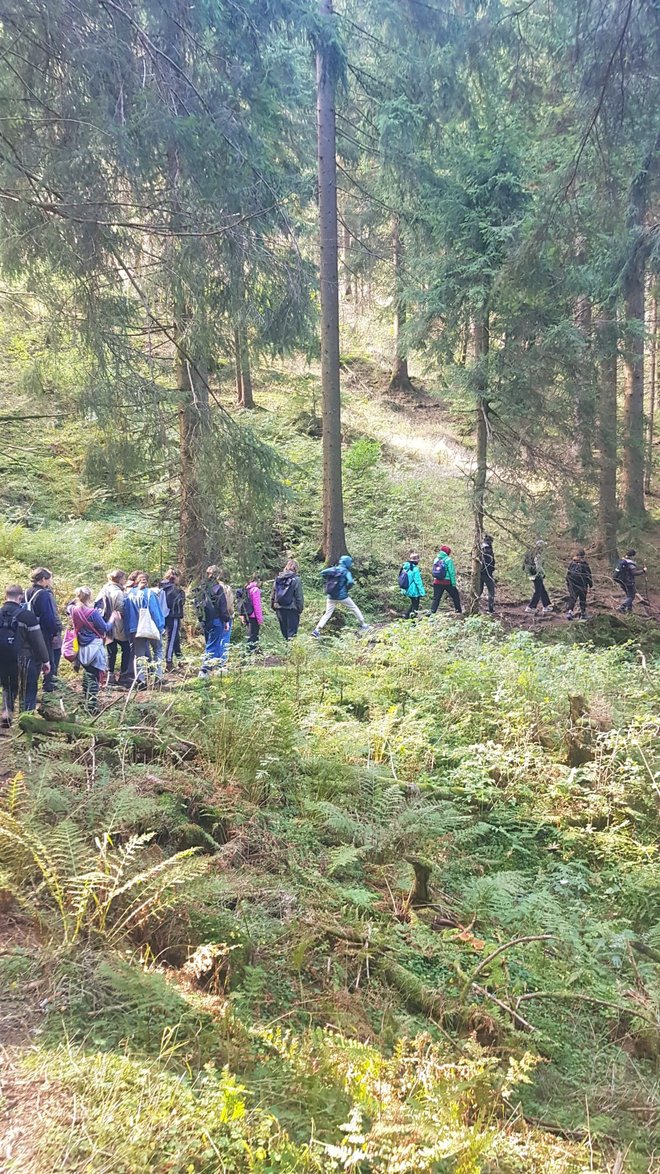 Studierende im Wald