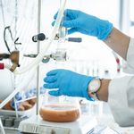 © IAB / Thomas Müller © IAB / Thomas Müller