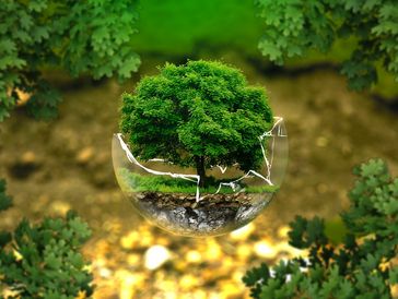Urheber: AndreasAux (pixabay.com)
