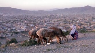 Auch beim Kindersender Kika wird »Elham – Meine Musik für Afghanistan«im Rahmen der Sendereihe »stark!« ausgestrahlt.