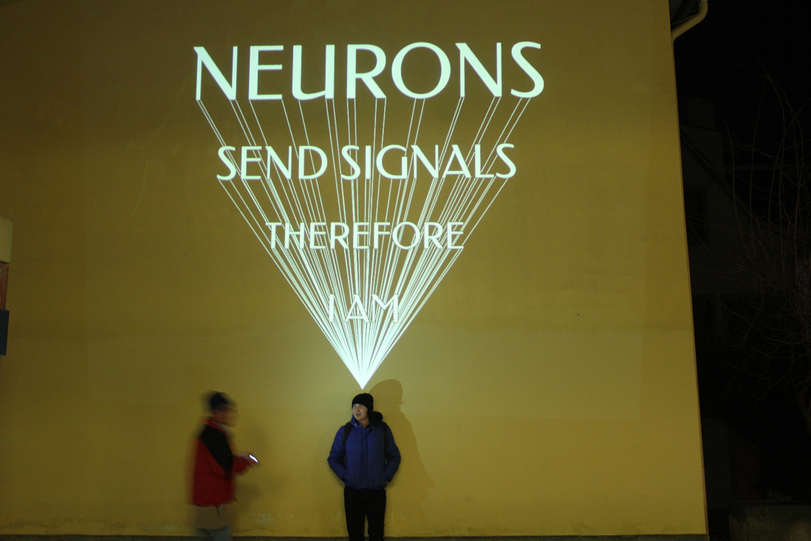 Neurons light wiki.jpg