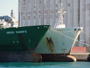 İstanbul port green magnific.jpg