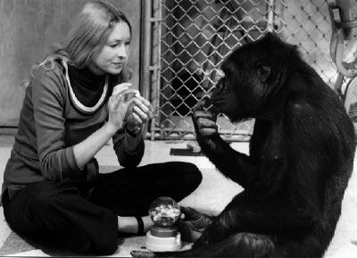Penny with Koko. Source: http://d2rights.blogspot.de/2012/09/koko-talking-gorilla-1978.html