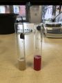 DNA Extraction Banana-blueberry1.jpg