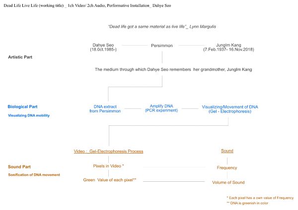 Diagram Dead LifeLiveLife.jpg