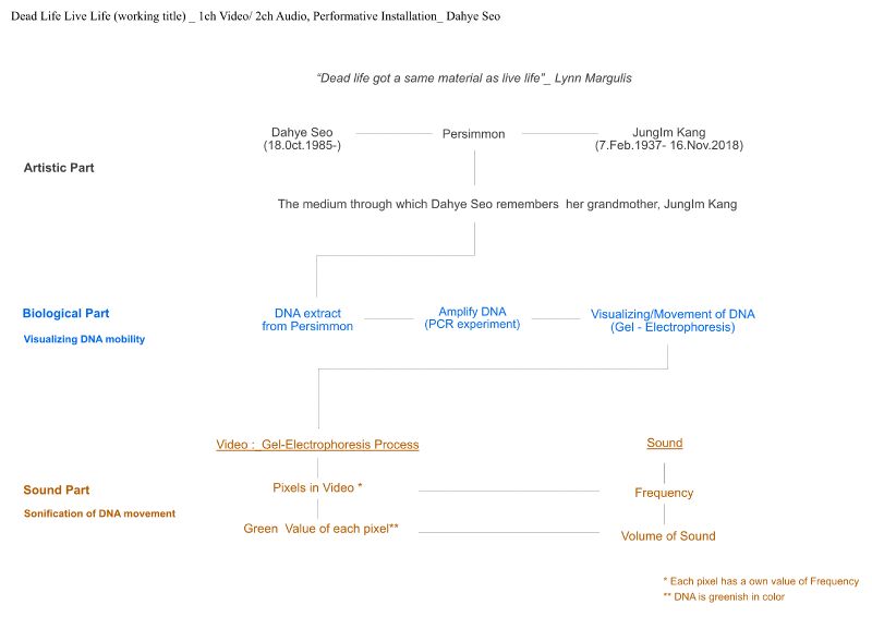 Diagram Dead LifeLiveLife.jpg