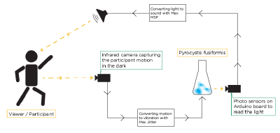 FredBB-Projekt Schema.png