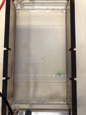 Gel electrophoresis1.jpg