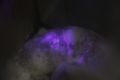 Eine erste Untersuchung mit UV Licht