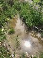 Wetland, Puddle in Juli 2024