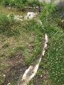 The Stormwater River from Roof to the puddle