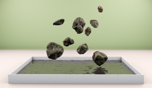 Lichen render (1 - 1)-2.png