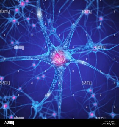 Neural-network-brain-cells-human-nervous-system-neurons-FJ5648.jpg