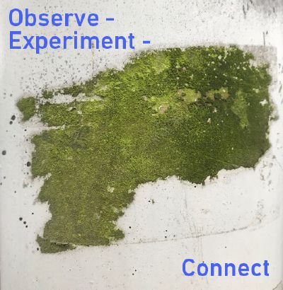 Observe Experiment Connect.jpg
