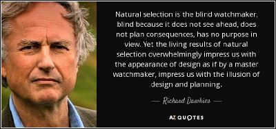 Quote-natural-selection-is-the-blind-watchmaker-blind-because-it-does-not-see-ahead-does-not-richard-dawkins-54-1-0163.jpg
