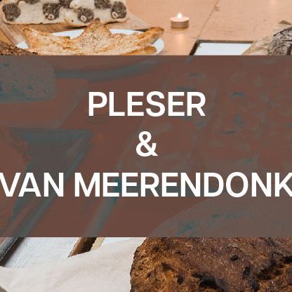 Pleser & van Meerendonk 2023