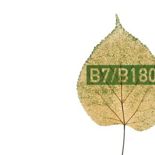 / Gabriel Dörner / Gabriel Dörner