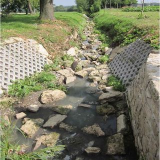 Eines der repräsentativen Modelle: der Abwassergraben in Wohlsborn / Foto: Prof. Dr. Jörg Londong Eines der repräsentativen Modelle: der Abwassergraben in Wohlsborn / Foto: Prof. Dr. Jörg Londong